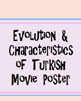 Evolution & Characteristics of Turkish Movie Poster